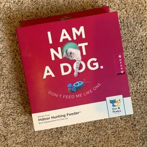 Indoor hunting feeder for cats